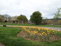 Wave Hill