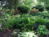 Knolls garden